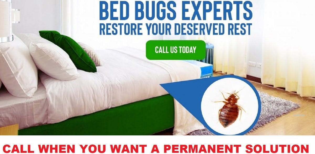 Bed bugs control services Kampala Uganda