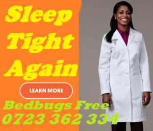 Bedbugs extermination services in Kenya