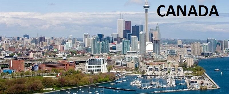 Canada fumigation and pest control services