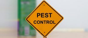 Fumigation and pest control services in Kajiado