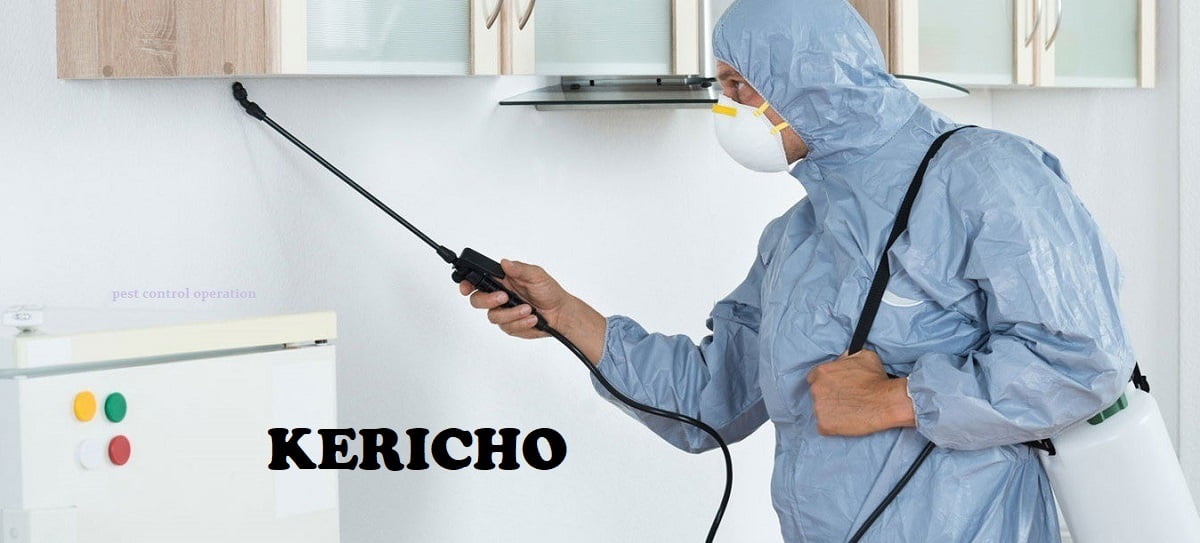 Fumigation and pest control services in Kericho