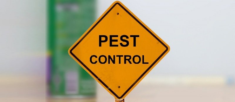 Fumigation and pest control services in Malindi