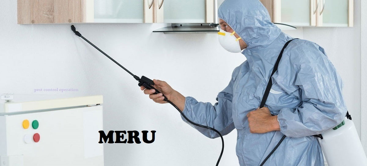 Fumigation and pest control services in Meru