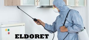 Fumigation & pest control services in Eldoret Kenya. Fumigation & pest control services in Eldoret Kenya.