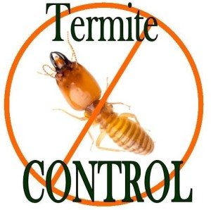 fumigation services in Canada