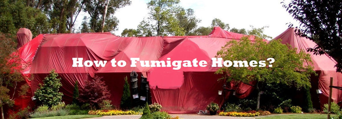 How to fumigate pests in homes?