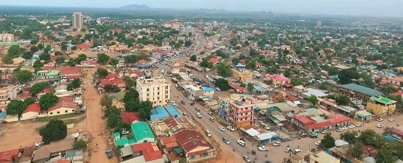 South Sudan fumigation and pest control services in Juba city