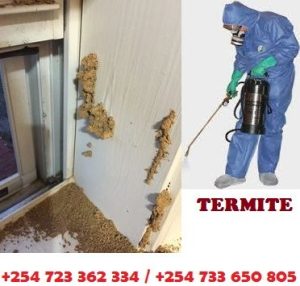 termites control services in Nairobi Kenya