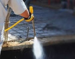 Termites extermination services in Kenya