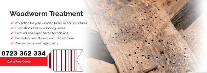 Woodworm control services in Nairobi Kenya