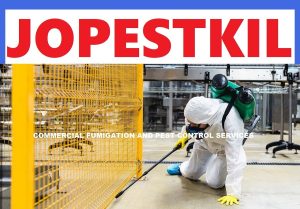 commercial pest control services in Kenya commercial pest control services in Kenya