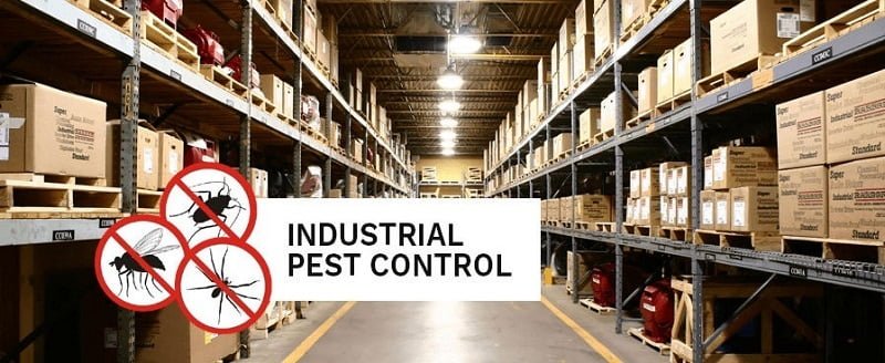 commercial pest control services in Kenya commercial pest control services in Kenya