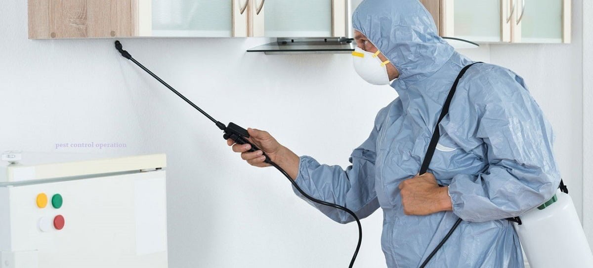fumigation and pest control services in Canada