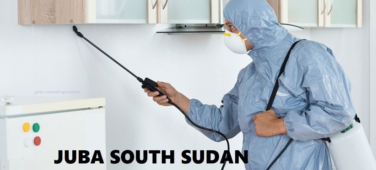 fumigation and pest control services in Juba South Sudan