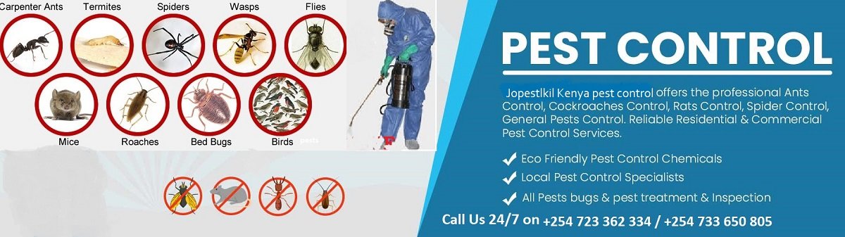 fumigation and pest control services in Oyugis.