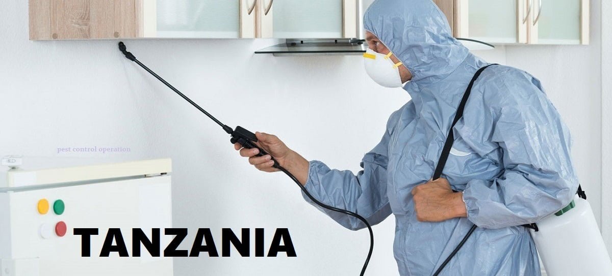 fumigation and pest control services in Tanzania.