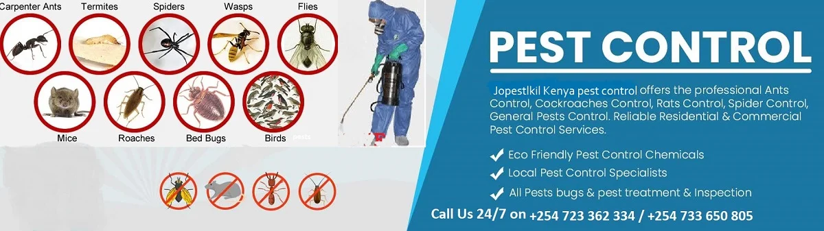 fumigation and pest control services in Thika Kenya