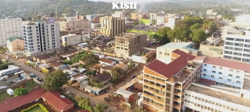 Fumigation & pest control services in Kisii Fumigation & pest control services in Kisii