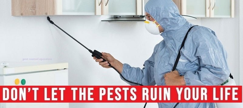 Fumigation & pest control services in America USA