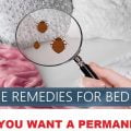 how to get rid of bedbugs in Kenya, getting rid of bed bugs in Nairobi Mombasa Kisumu Kenya
