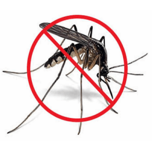 Mosquitoes control Mosquitoes control