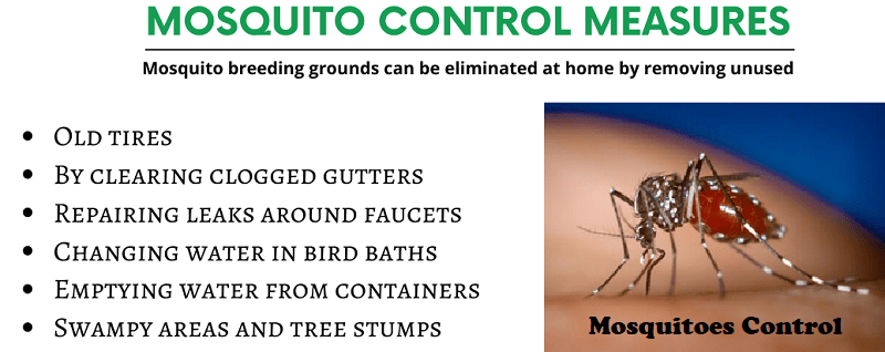 mosquitoes control services in Kenya mosquitoes control services in Kenya