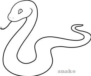 snakes control in Nairobi Kenya