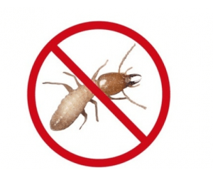 Termites control Termites control