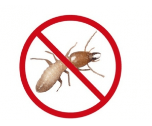 Termites control services