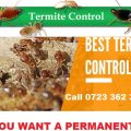 termites control services Nairobi Kenya
