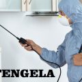 Kitengela pest control services, fumigation services in Kitengela