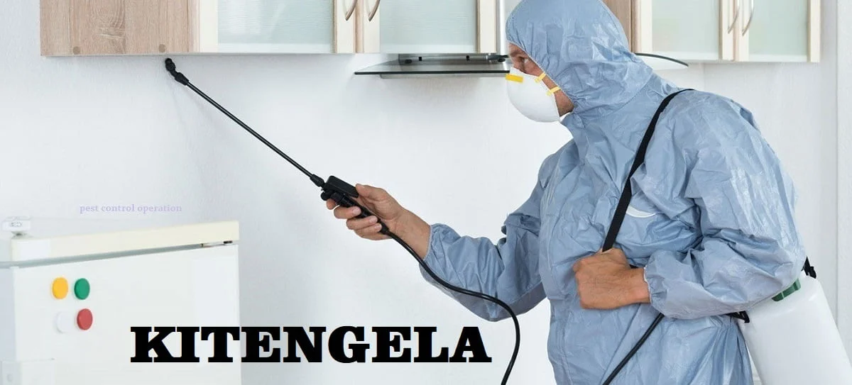 Kitengela pest control services, fumigation services in Kitengela