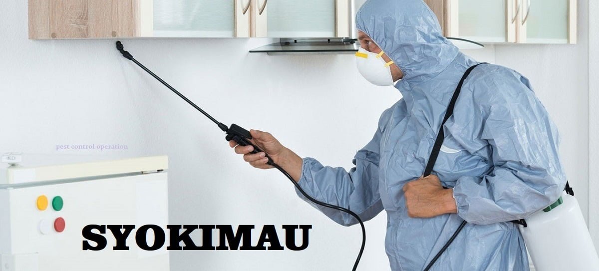 Syokimau pest control services and fumigation services in Syokimau