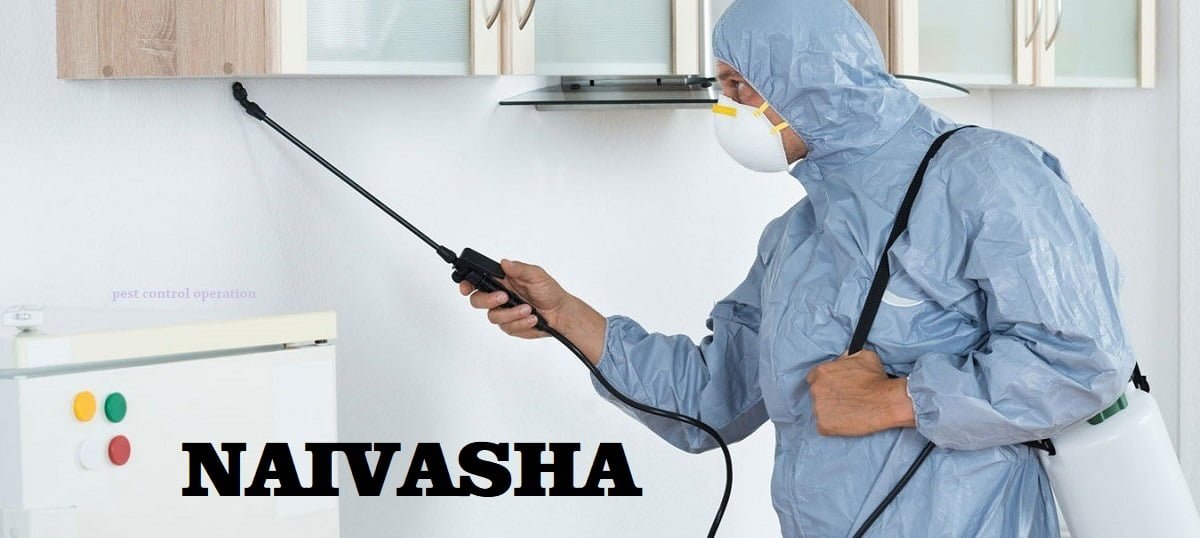 pest control services in Naivasha Kenya and fumigation services in Naivasha Kenya