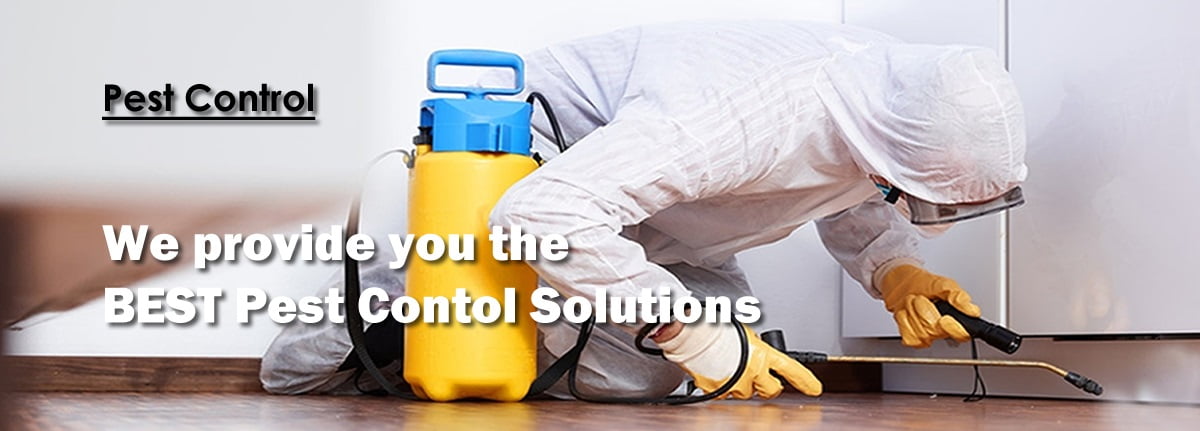 what is pest control?