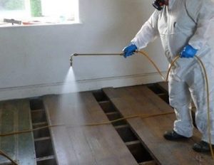 woodworm control services in Kenya