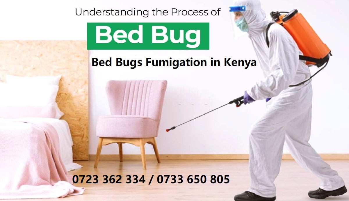 Bed bugs fumigation in Kenya