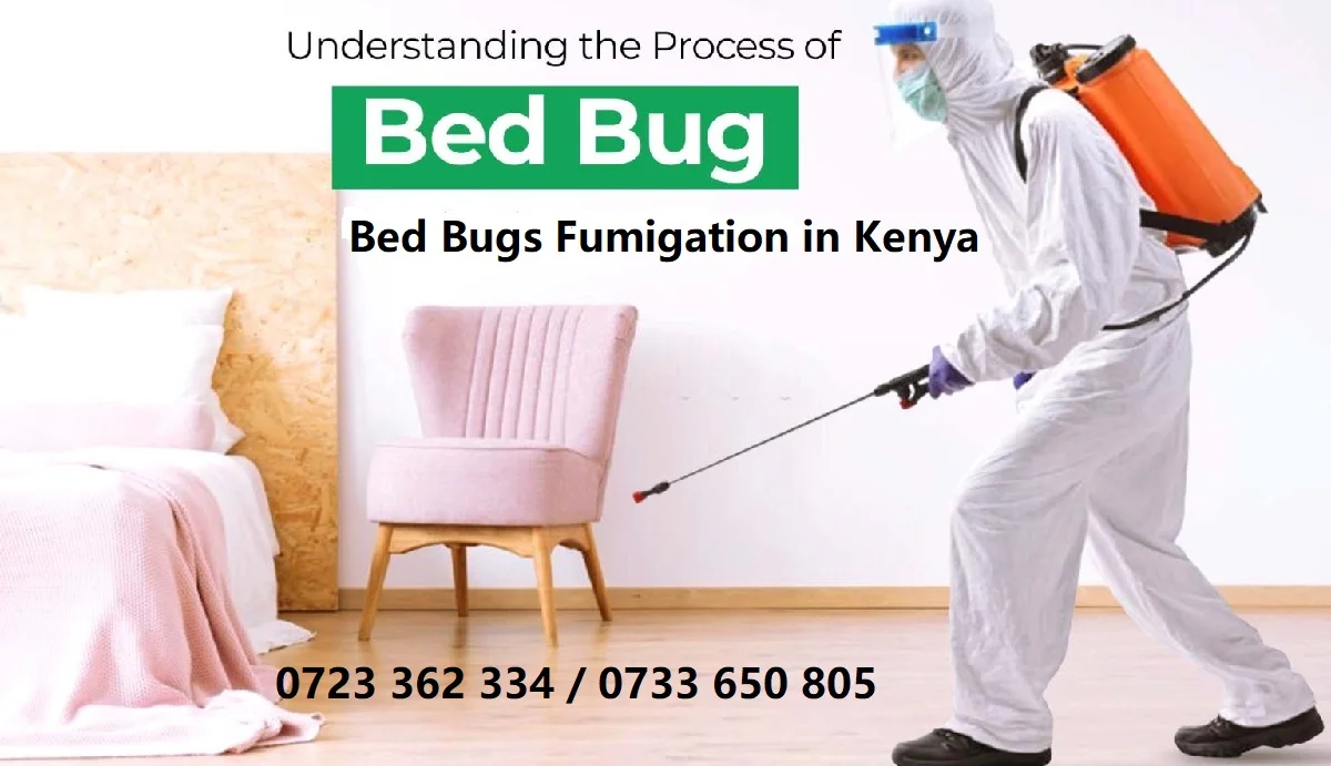 Jopestkil Kenya Bed Bugs Fumigation & Bug Control Services
