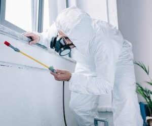 pest control companies in Nakuru