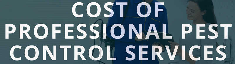 pest control prices in Malindi pest control prices in Malindi