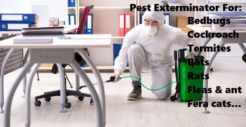 Fumigation and pest control services in Migori Fumigation and pest control services in Migori