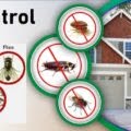 Nairobi pest control services