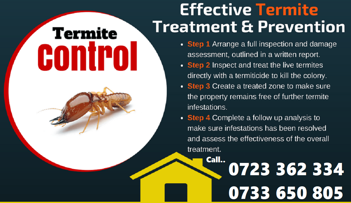 effective termites control in Kenya