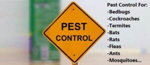 fumigation and pest control services in Kitui