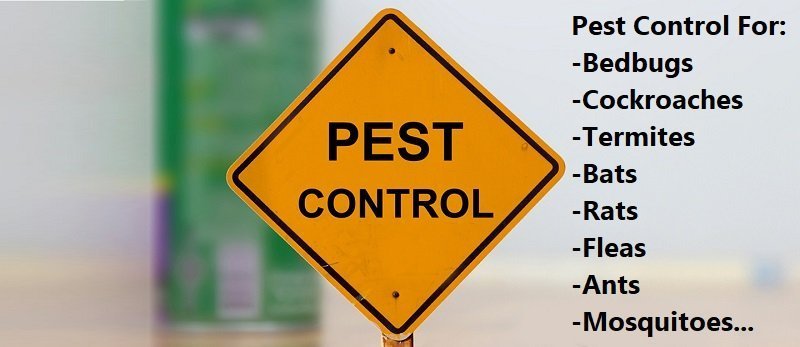 pest control in Kitui