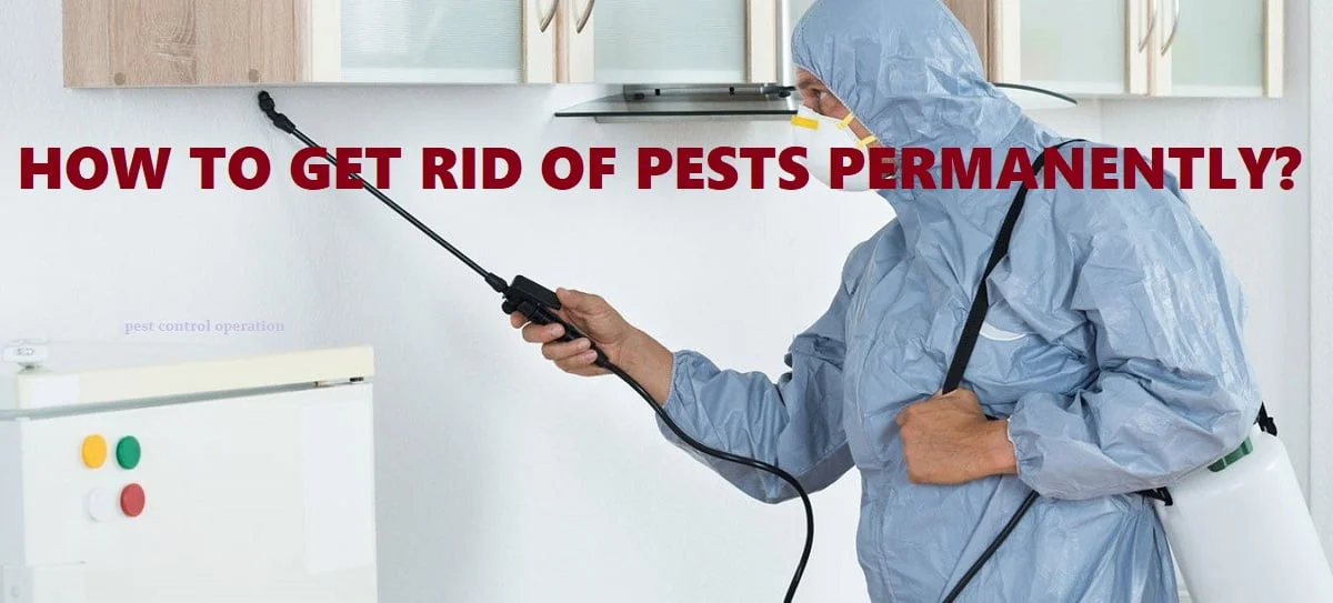how to control pests?