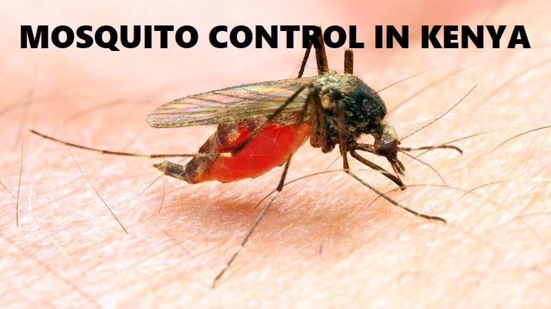 mosquito control in Kenya