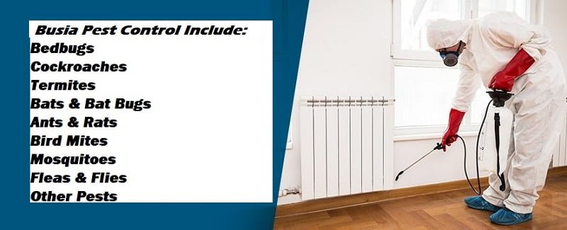 pest control in Busia pest control in Busia