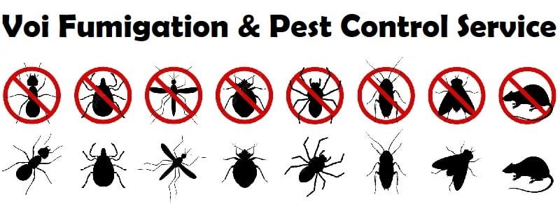 Fumigation and pest control services in Voi