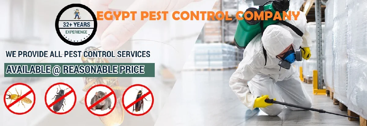 pest control services in Egypt